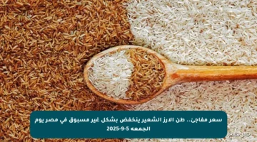 سعر مفاجئ.. طن الأرز الشعير ينخفض بشكل غير مسبوق في مصر يوم الجمعة 5-9-2025